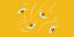 6 Honey Bees To Consider